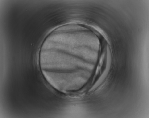 X0000088440862200706191251