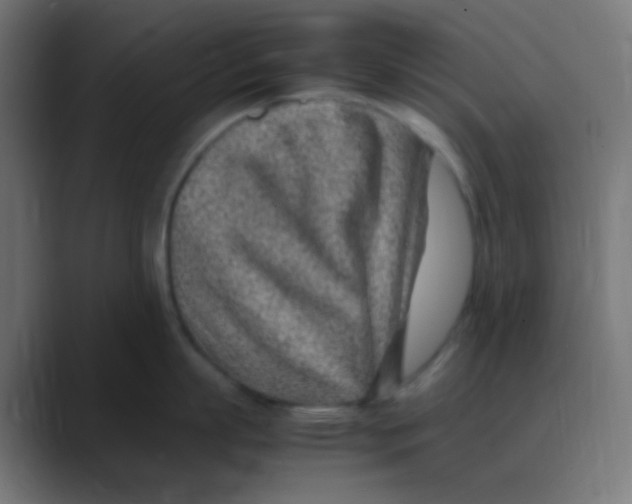 X0000088440863200706191251