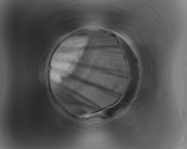 X0000088440864200706191251