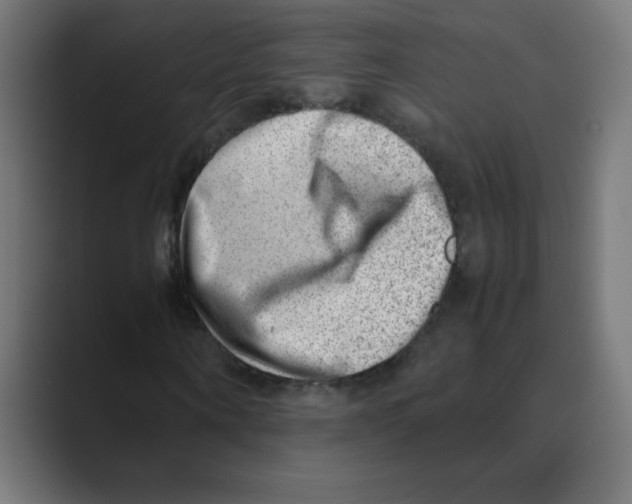 X0000088440866200706191251