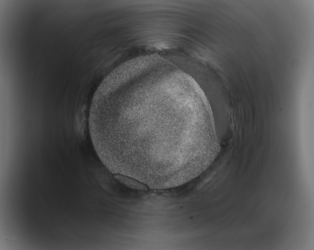 X0000088440868200706191251