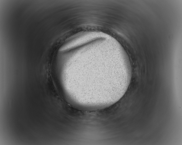 X0000088440870200706191251