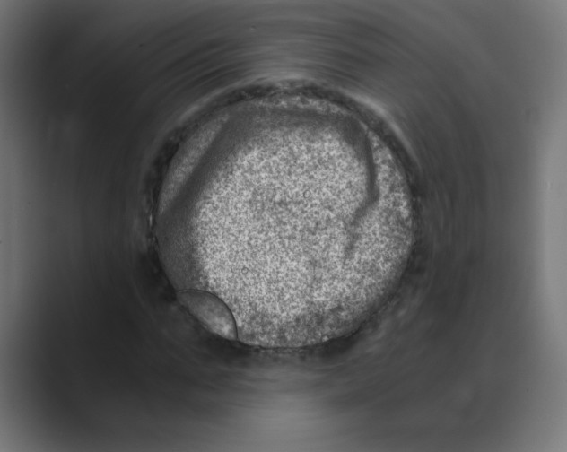 X0000088440871200706191251