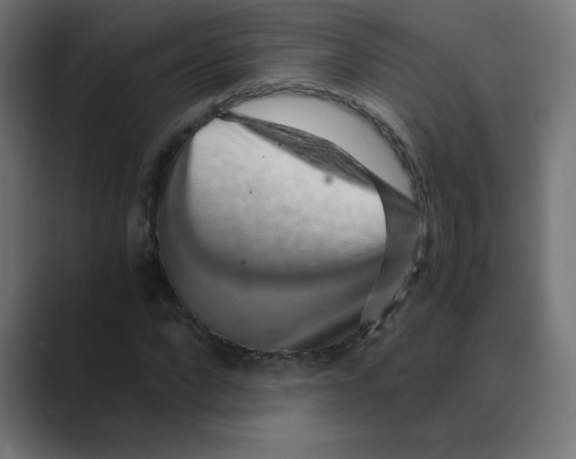 X0000088440872200706191251