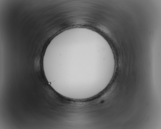 X0000088440873200706191251