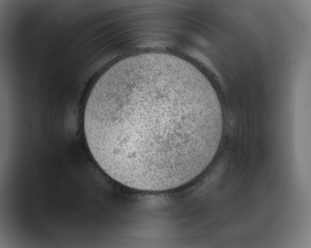 X0000088440874200706191251