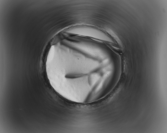 X0000088440876200706191251