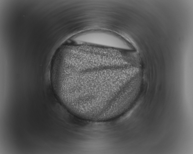 X0000088440877200706191251