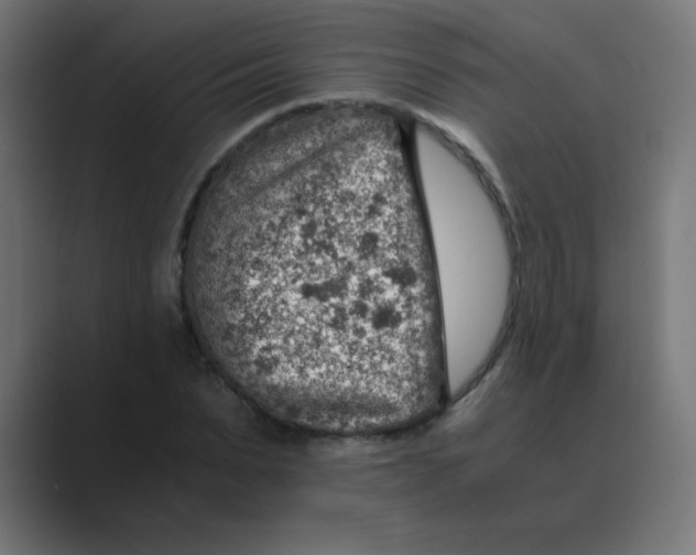 X0000088440879200706191251