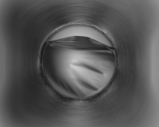 X0000088440880200706191251