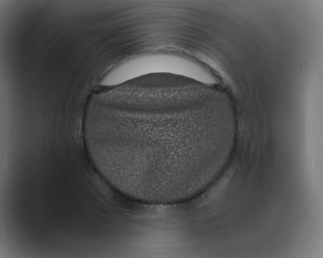 X0000088440881200706191251