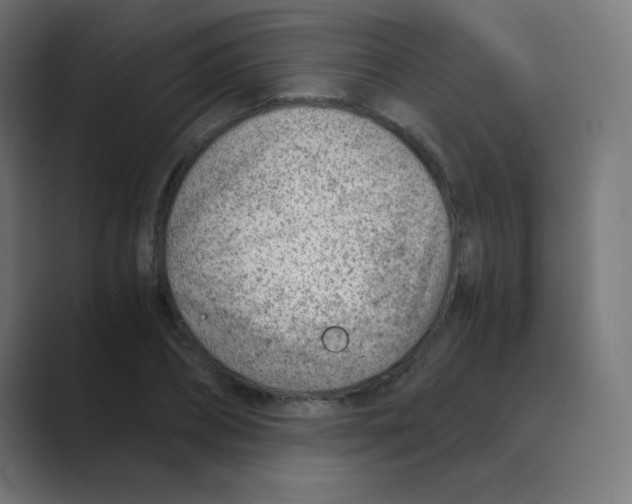 X0000088440882200706191250