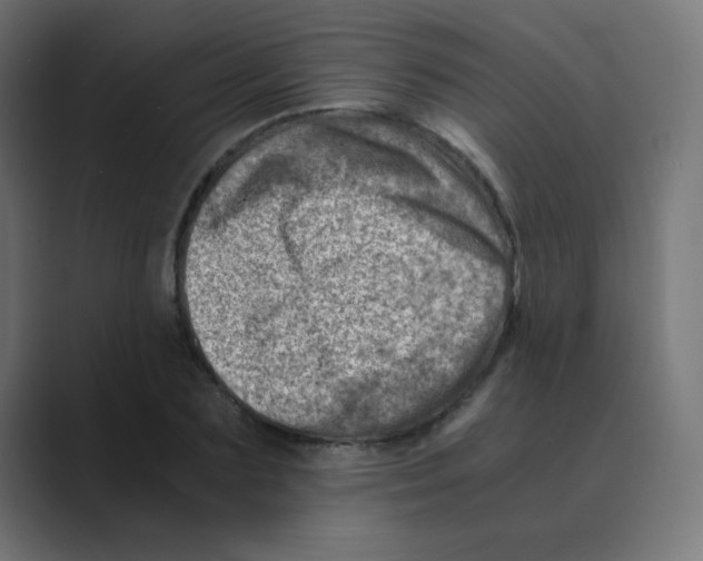 X0000088440883200706191250