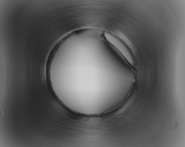 X0000088440884200706191250