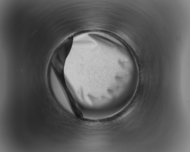 X0000088440885200706191250