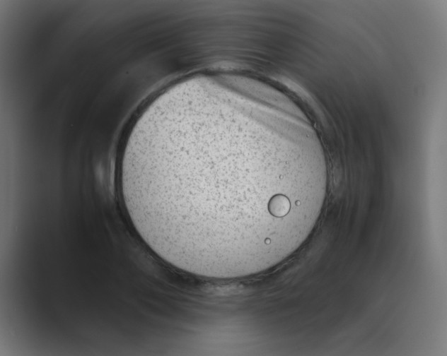 X0000088440886200706191250