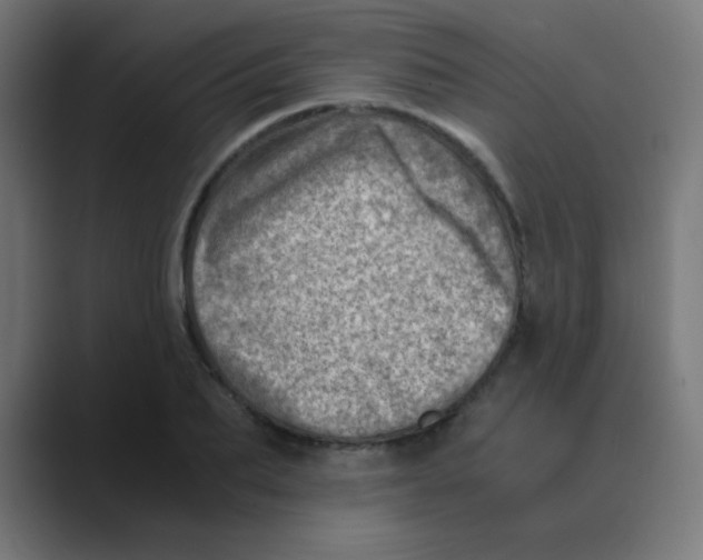 X0000088440887200706191250