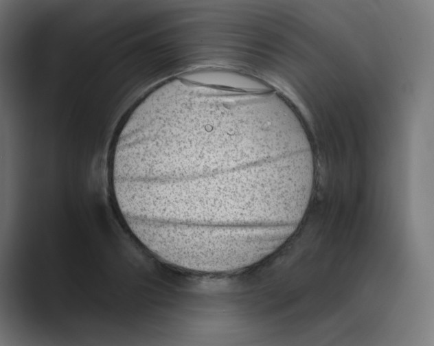 X0000088440890200706191250