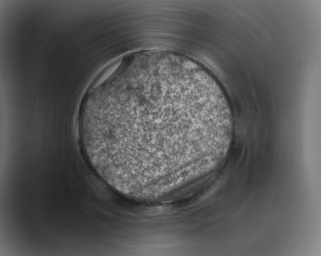 X0000088440891200706191250