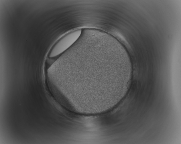 X0000088440892200706191250