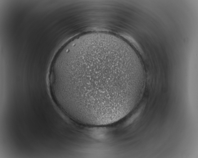 X0000088440893200706191250