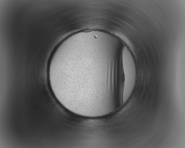 X0000088440894200706191250