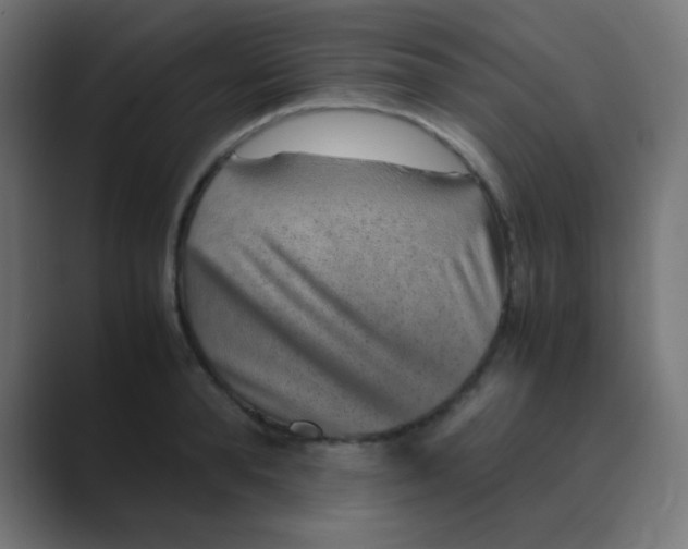 X0000088440896200706191250