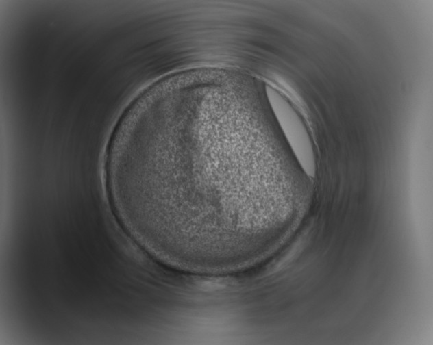 X0000088440899200706191250