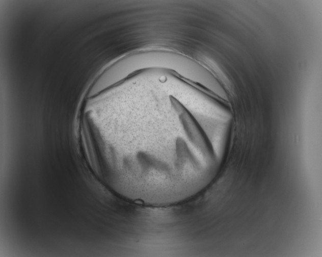 X0000088440900200706191250