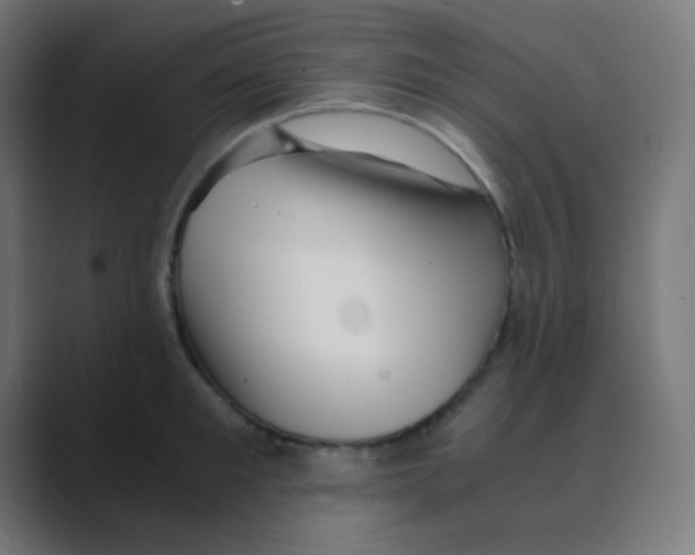 X0000088440901200706191250
