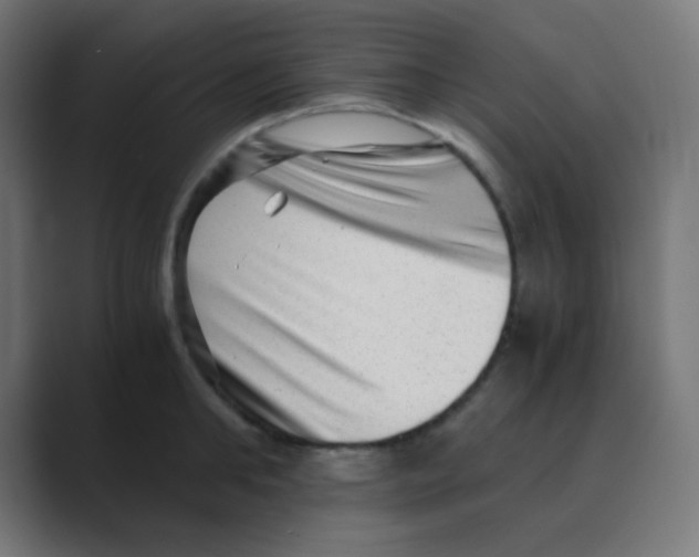 X0000088440902200706191250