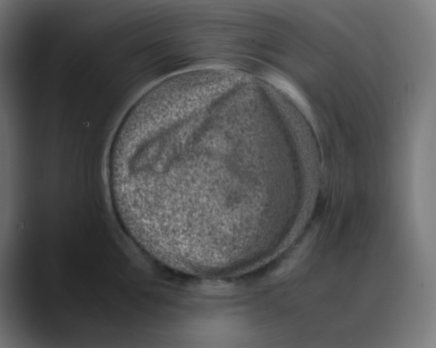 X0000088440907200706191250