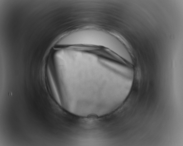 X0000088440910200706191250