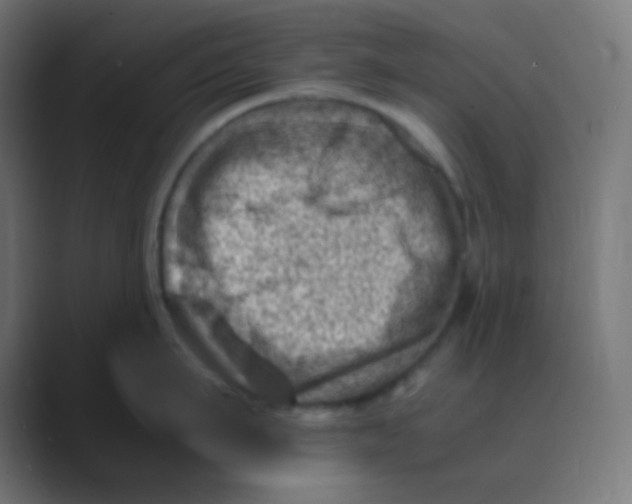 X0000088440911200706191250