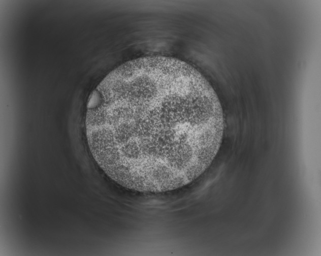 X0000088440913200706191250