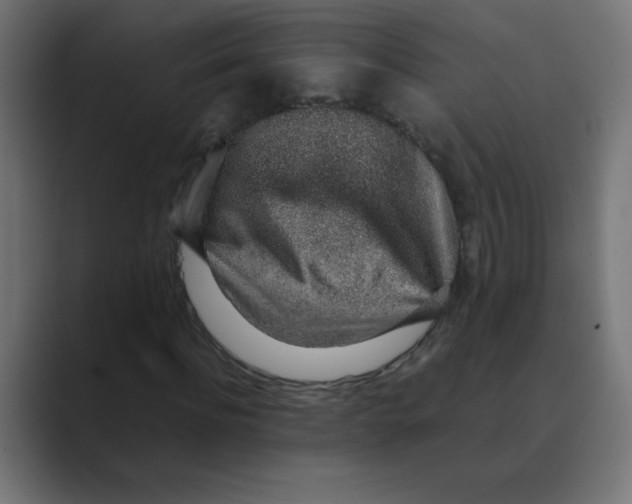X0000088440916200706191250