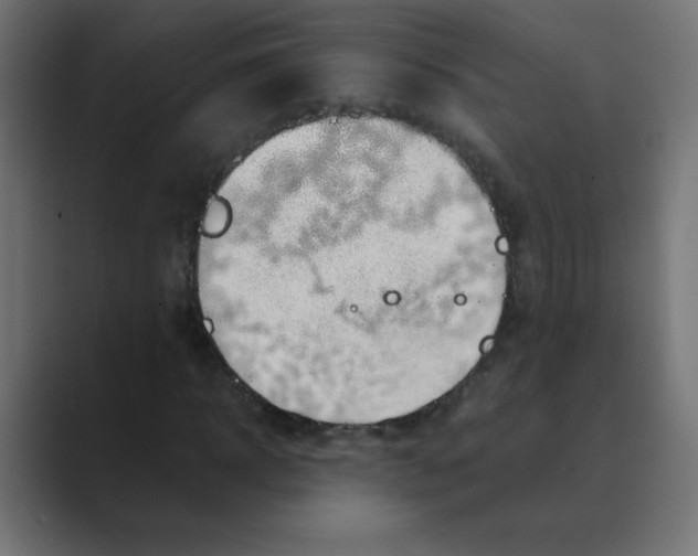 X0000088440918200706191250