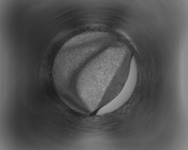 X0000088440919200706191250