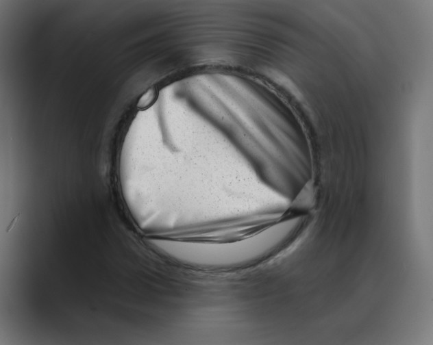 X0000088440922200706191250