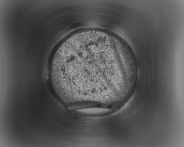 X0000088440925200706191250