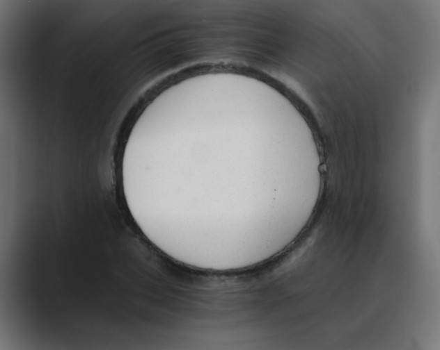 X0000088440927200706191250