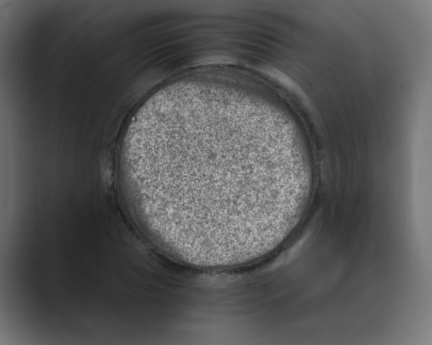 X0000088440929200706191250