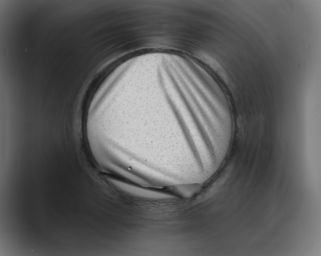 X0000088440931200706191250