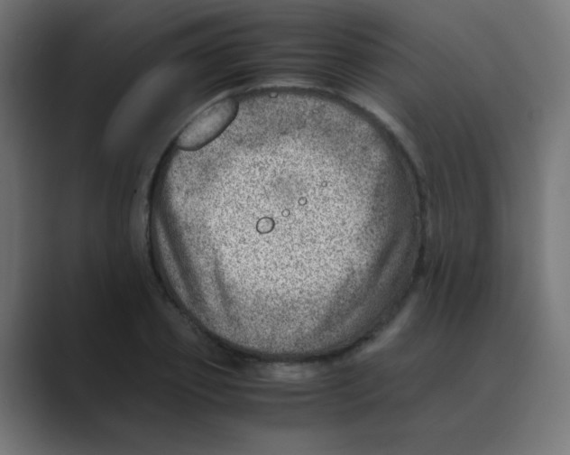 X0000088440933200706191250