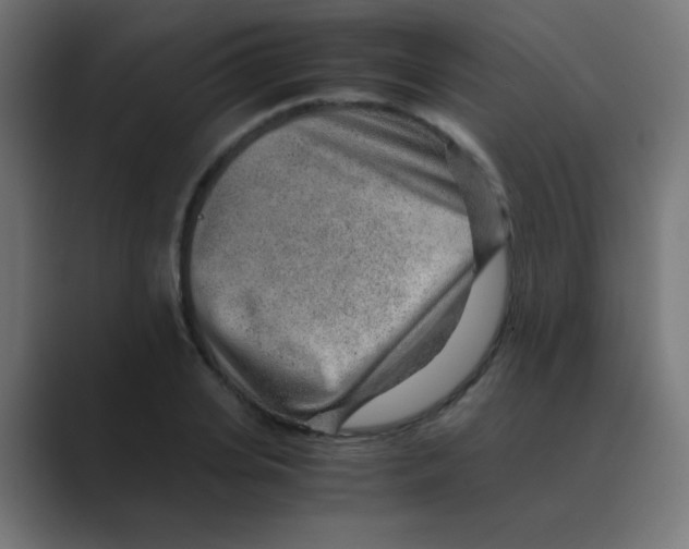 X0000088440935200706191250
