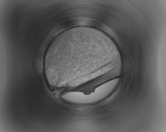 X0000088440938200706191250