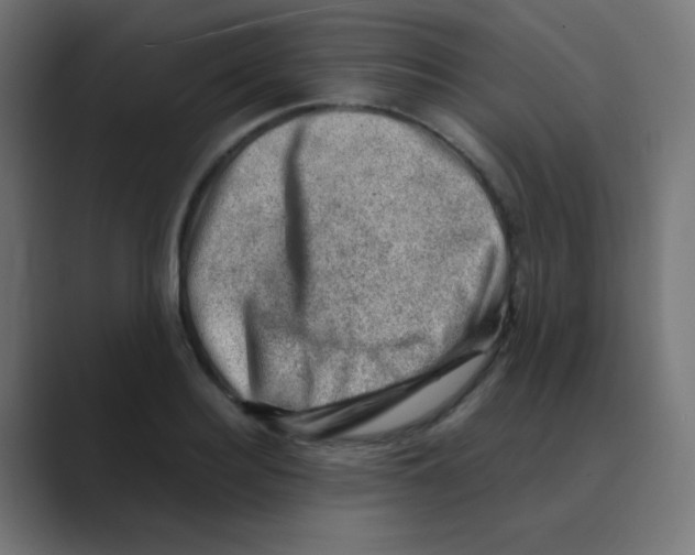 X0000088440940200706191250