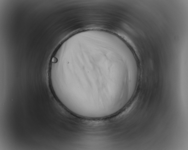 X0000088440941200706191250