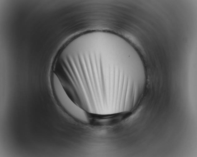 X0000088440942200706191250