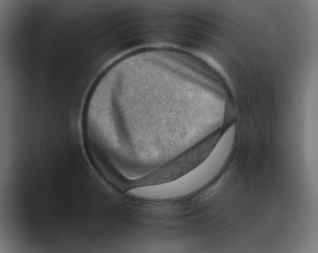 X0000088440943200706191250